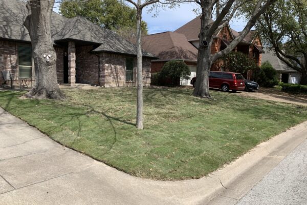 new sod install 1 scaled